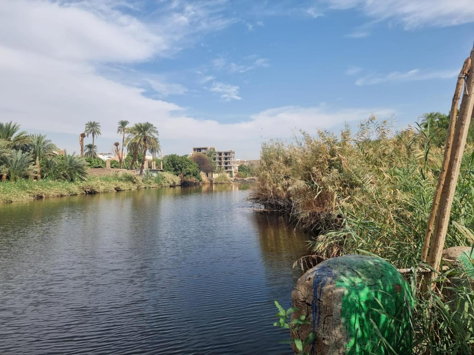Luxor Old Nile Hotel Phòng bức ảnh